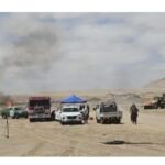 Justicia chilena autoriza contraprueba a la madera boliviana incautada en junio 