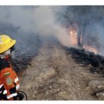 Incendios forestales en Tarija y Cochabamba movilizan a servicios de emergencia